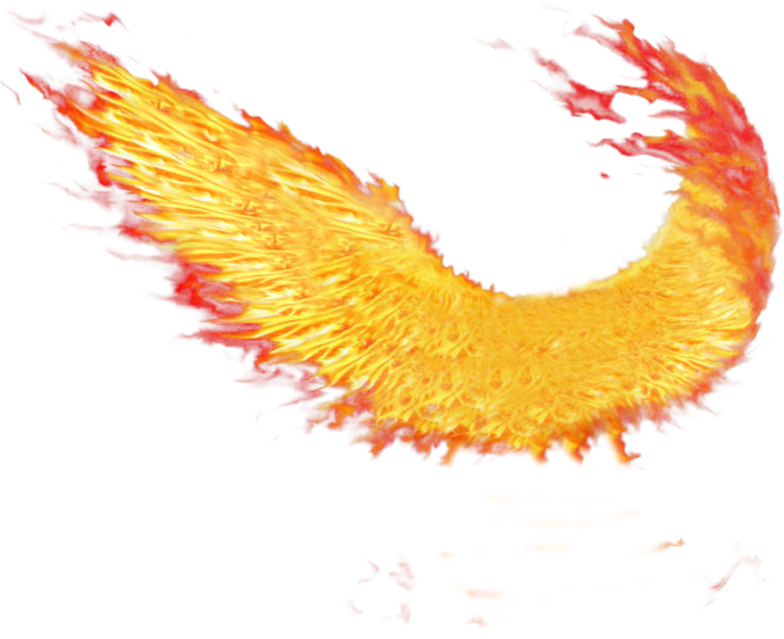 Angel Wings Transparent Background For Kids - Wings On Fire Png (894x894)