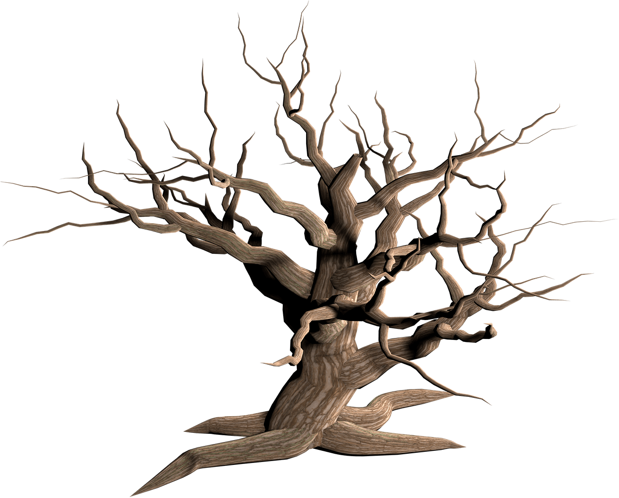 Tree Snag Clip Art - Driftwood (1280x1028)