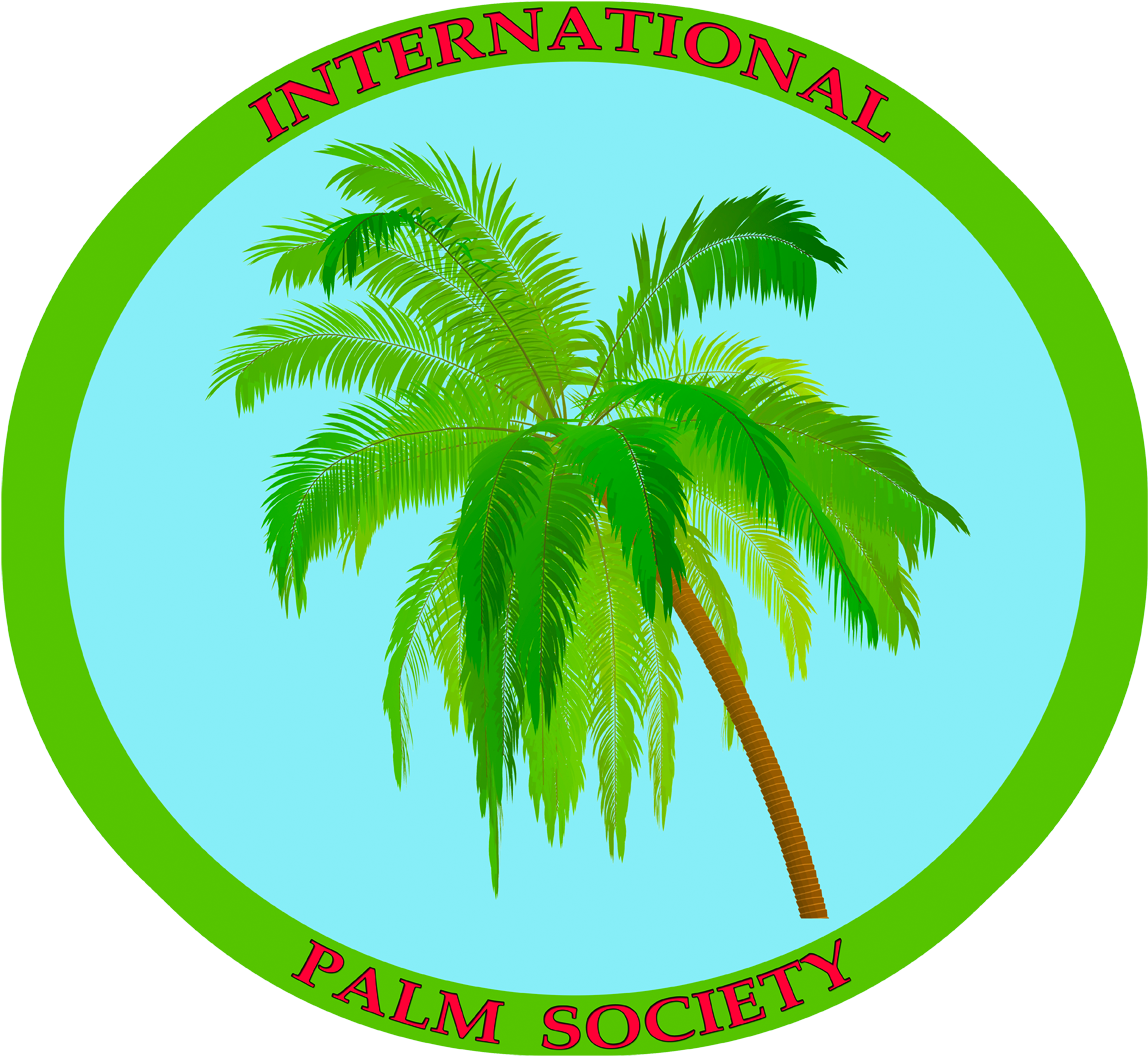 Blue1280-3 - Coconut Tree (1280x1126)