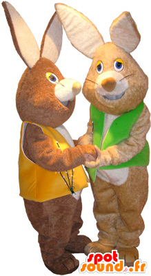 New 2 Mascots Brown Rabbits Soft Wearing Vests - Rabbit (300x400)