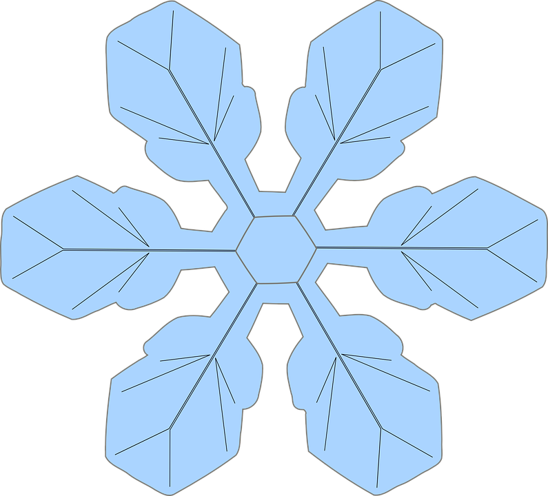 Transparent Snowflakes Cliparts 5, Buy Clip Art - Three Killed As Gunman Attacks Walmart Store (795x720)