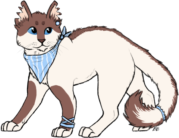 Raccoon, Dog, Canine, Hamster, Cat, Unknown, Cat, Canine, - Cartoon (603x468)