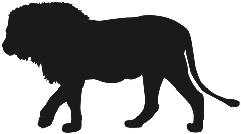Lion Silhouette - Silhouette (512x512)