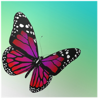Butterfly Pictures To Color (400x400)