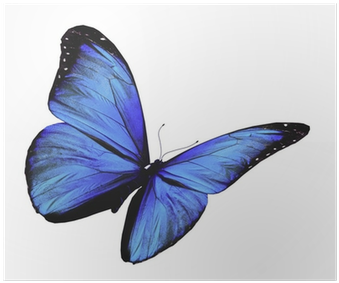 Blue Butterfly Flying, Isolated On White Background - Turquoise Butterfly (400x400)