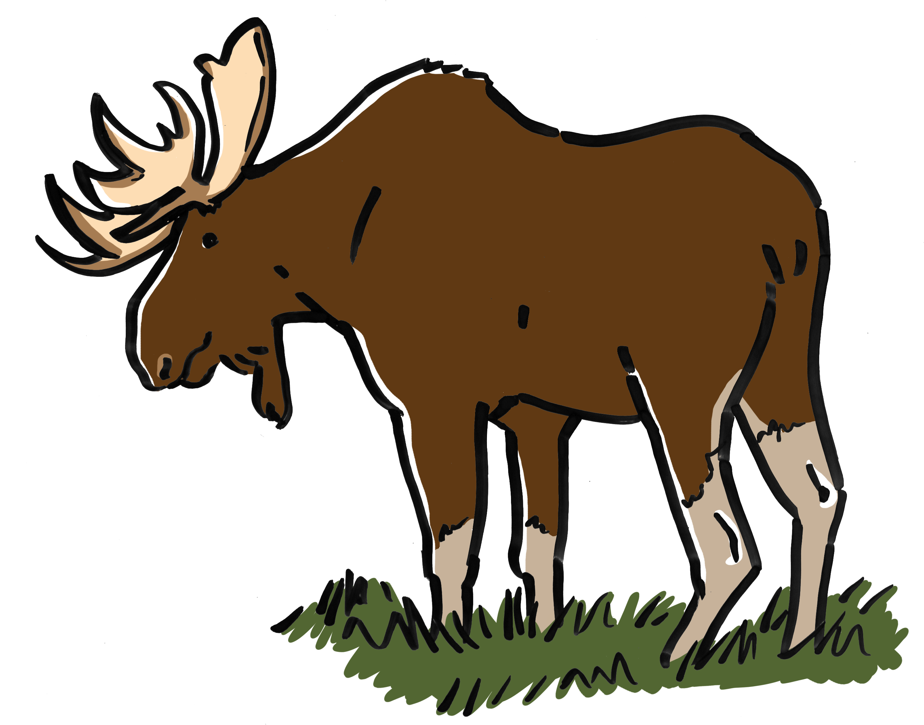 10 Moose Col - Moose (3000x2437)