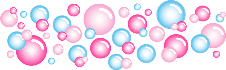 Shampoochies Mobile Pet Grooming - Dog Grooming (735x229)