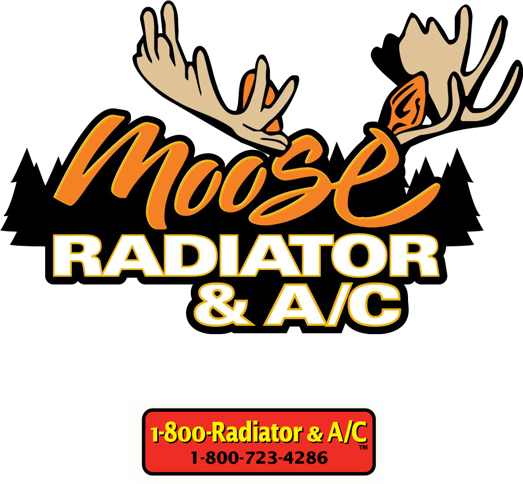 Moose Radiator - Moose Radiator (1018x1200)