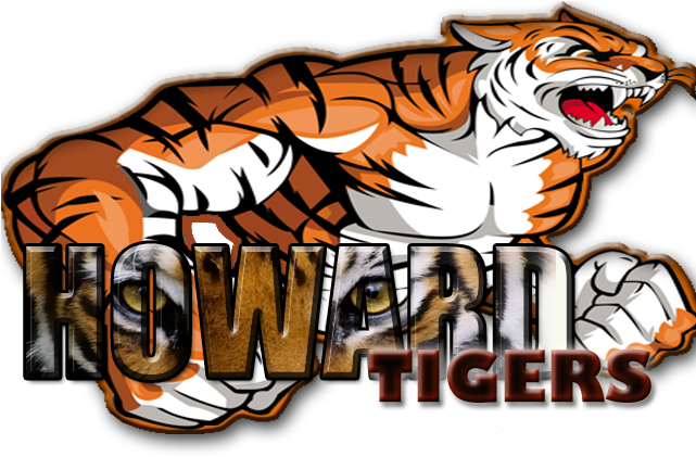 8 Best Tiger Images Images - Bagas Rahman Dwi Saputra (640x480)