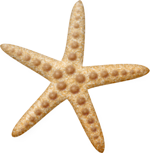 Яндекс - Фотки - Star Fish Blue Png (521x532)