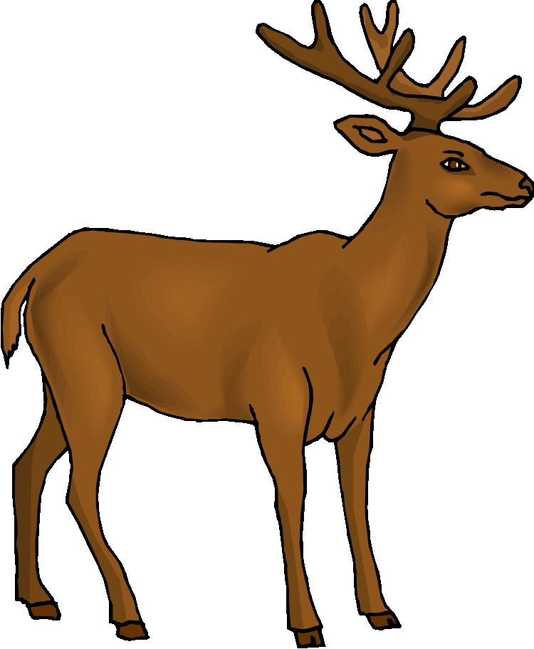 Mule Clipart Brown - Deer Clipart (750x911)