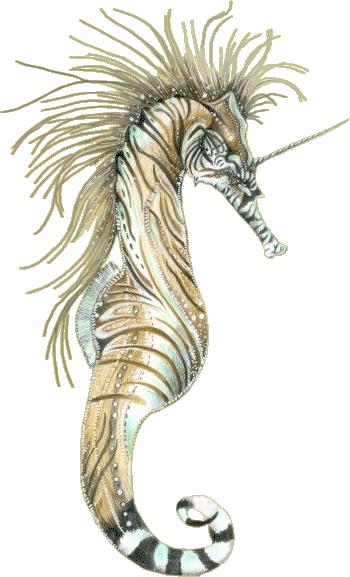 Seahorse - Seahorse (350x577)