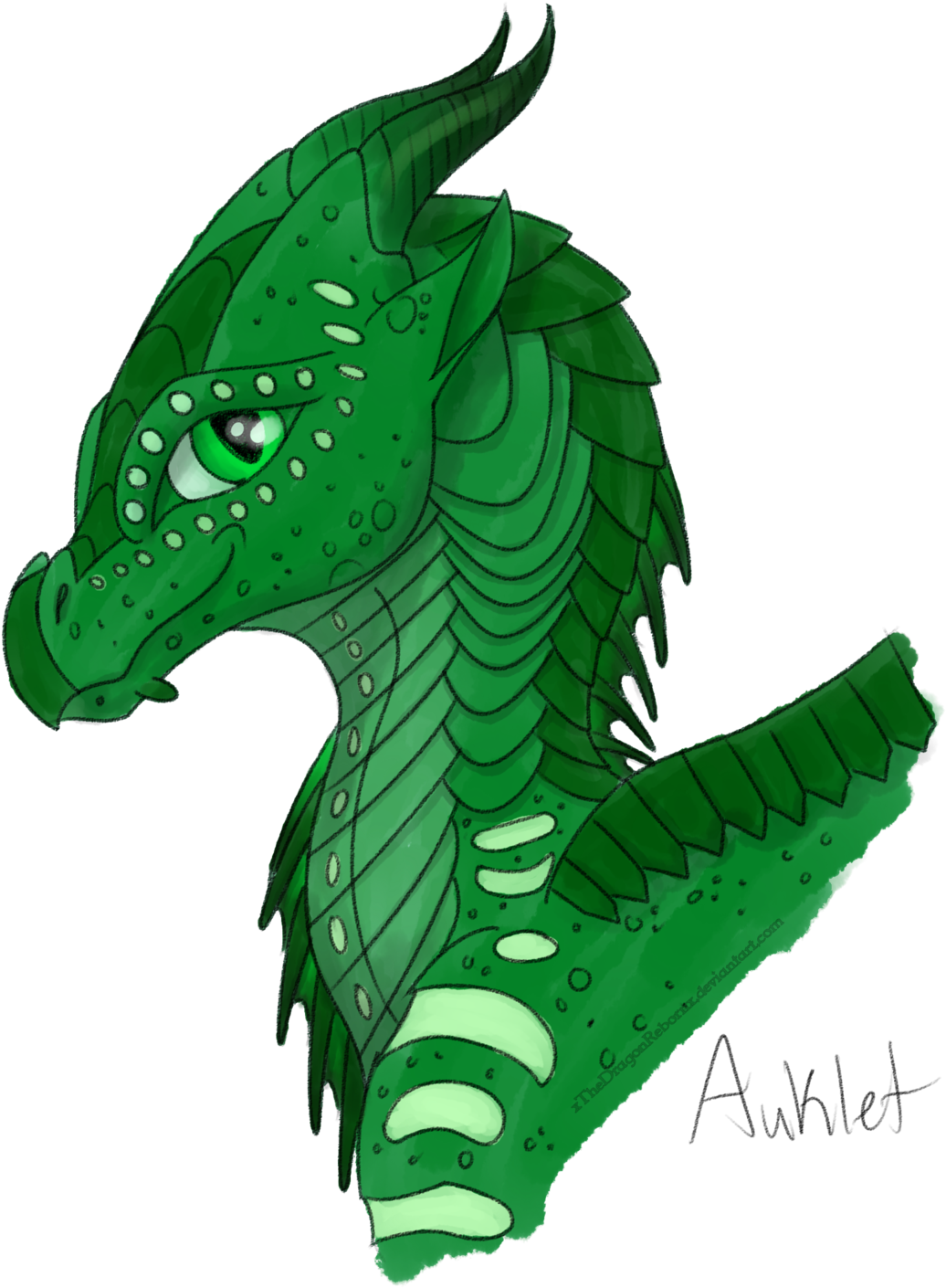 Xthedragonrebornx Wof D A D Day - Wings Of Fire (1600x1600)