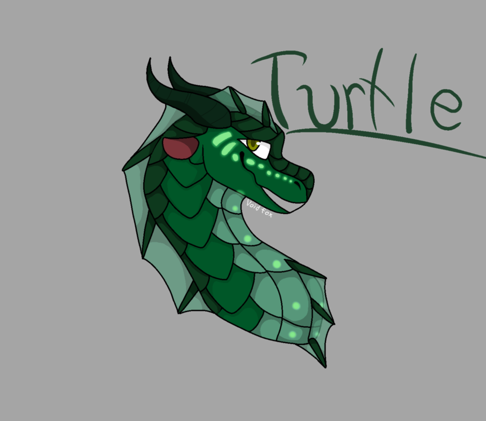Turtle By Rayquaza123456 - Illustration (960x831)