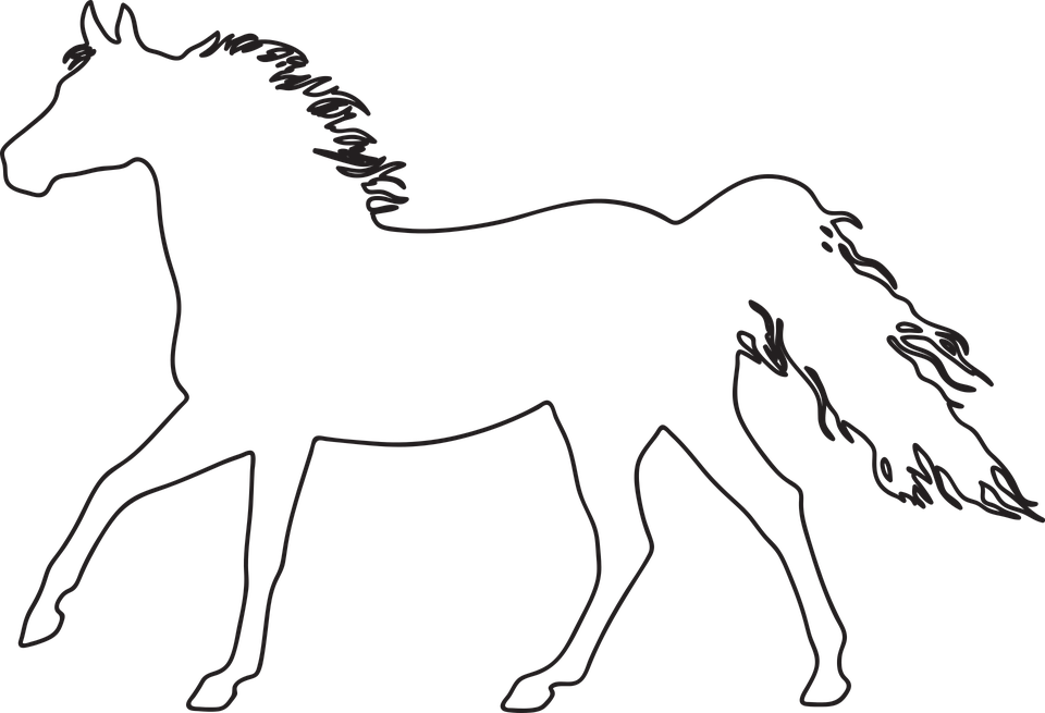 Sea Horse Outline 9, Buy Clip Art - Silueta De Un Animal Para Pintar (960x655)