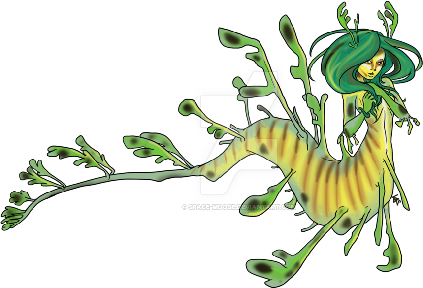 Leafy - Leafy Sea Dragon Drawing (1024x731)