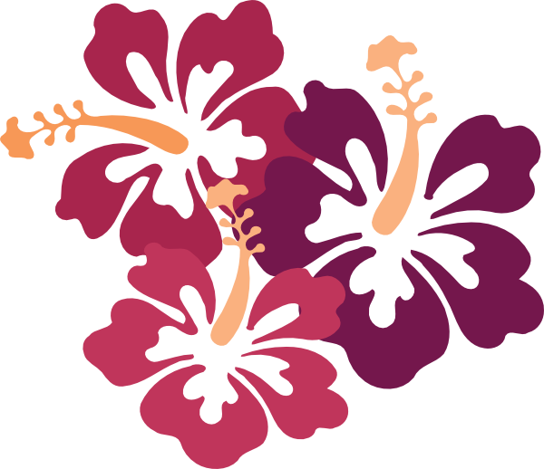 This Free Clip Arts Design Of Hibiscus Png - Hawaii Flower (600x518)