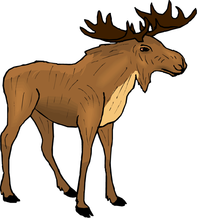 Free Moose Clipart - Domestic Animals Names List In French (679x750)