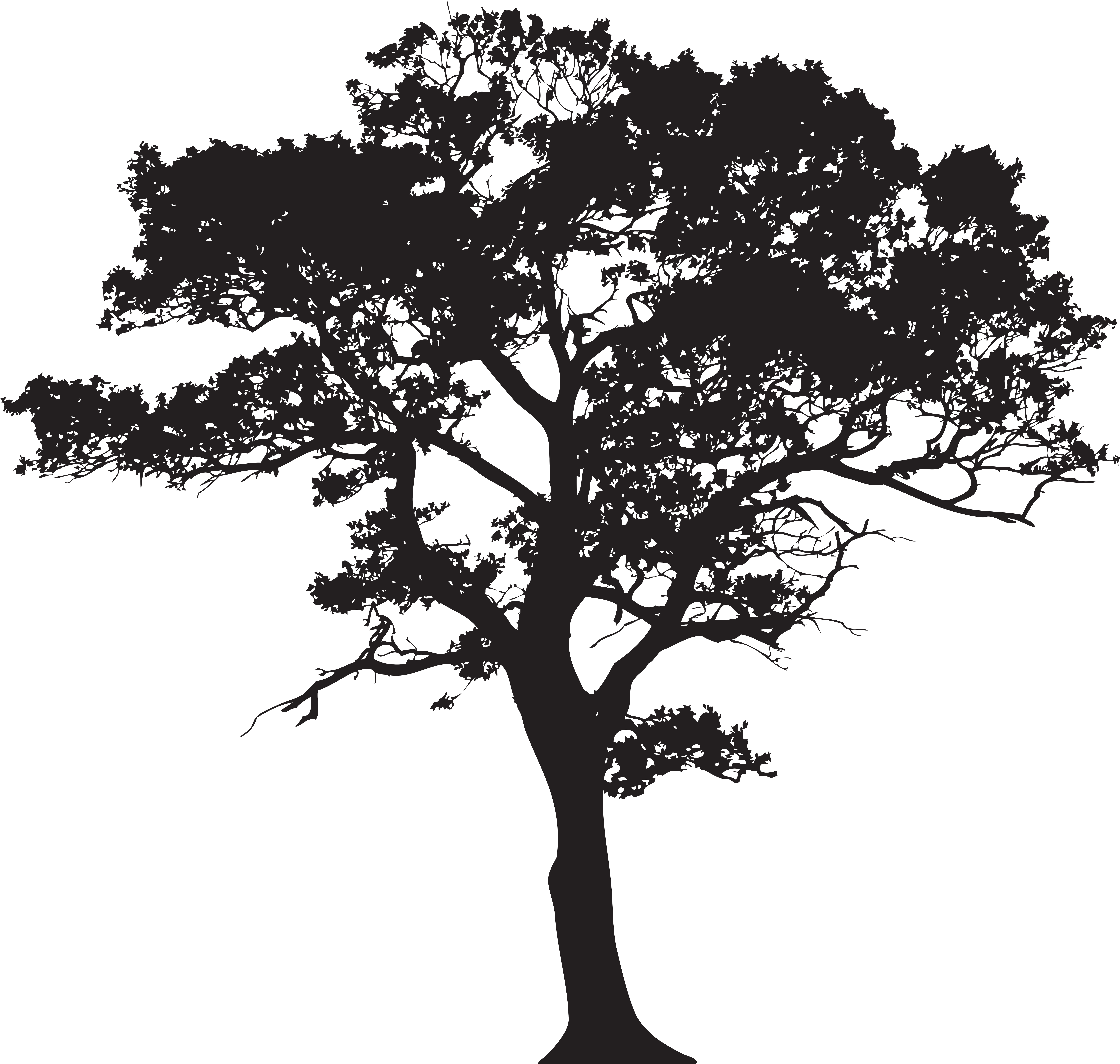 Black And White Tree Wallpapers - Black And White Tree Wallpapers (8000x7662)
