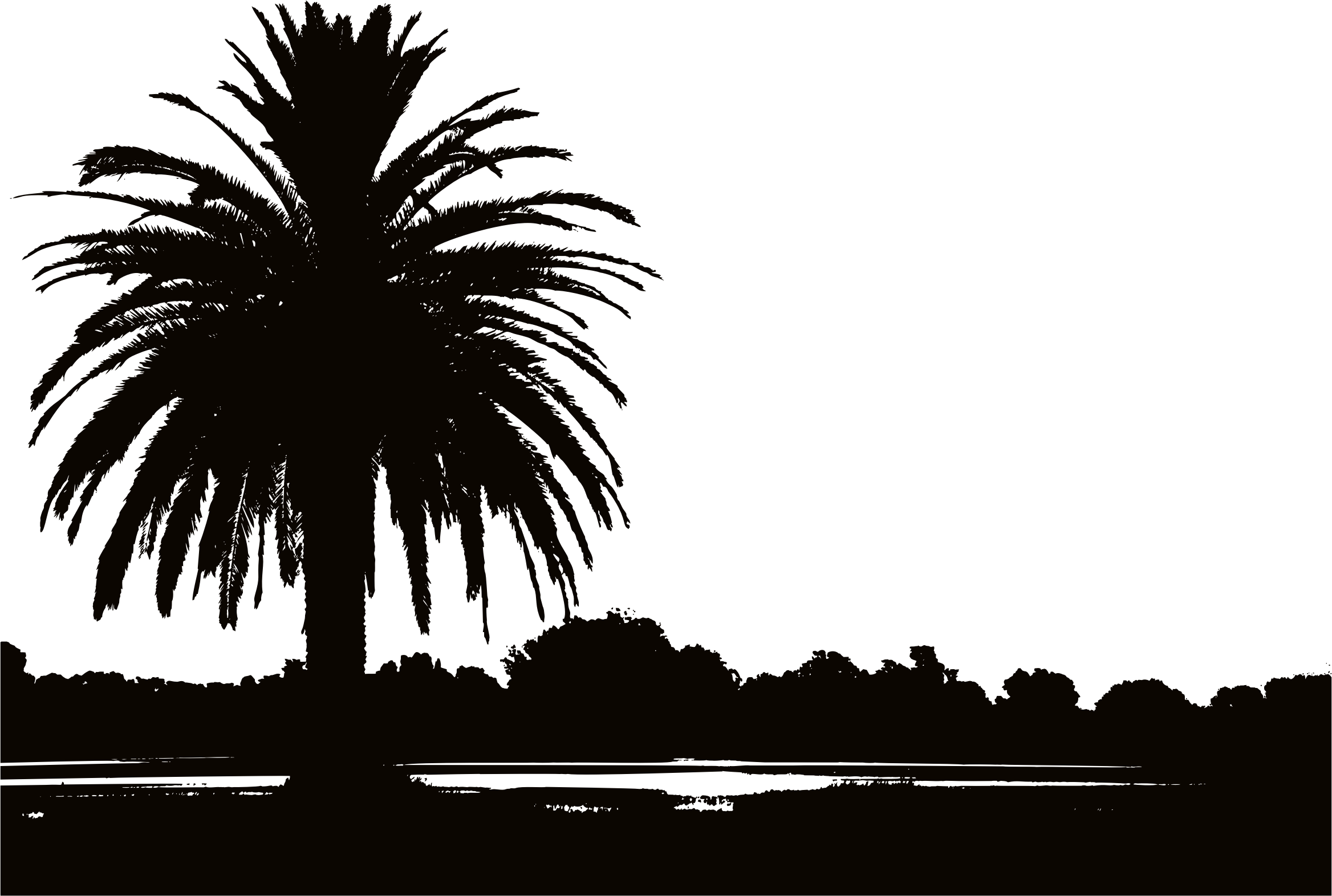 Sunset Clipart Date Tree - Sunset Silhouette Palm Tree (2336x1572)