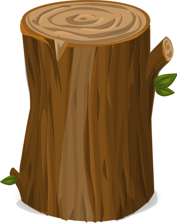 Stump Clipart Tree Cut - Tree Stump Transparent Background (569x720)