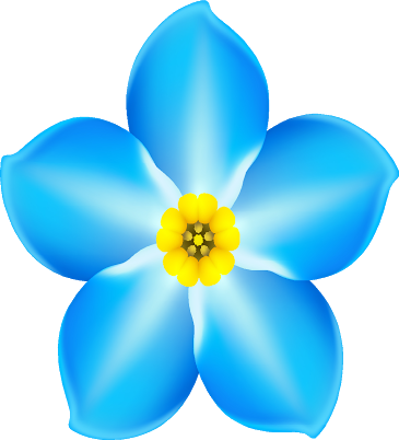 Image Result For Forget Me Not - Dementia Forget Me Not (365x402)