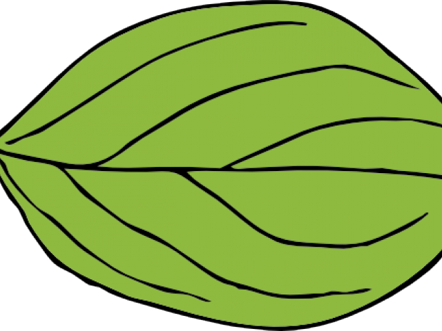 Leaf Clipart Apple Tree - Oval Leaf (640x480)