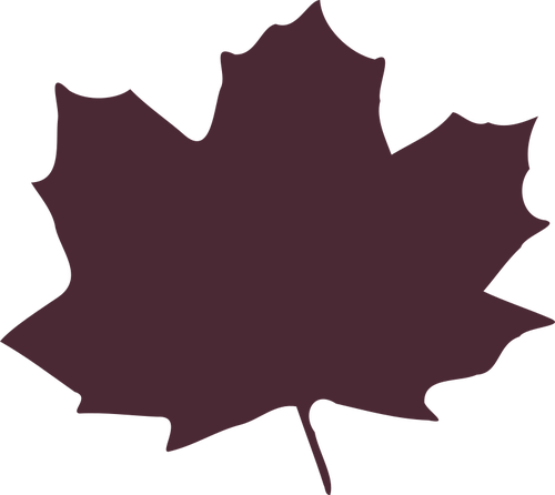 Maple Leaf Clipart Public Domain - Cartoon Leaves Silhouette (500x446)
