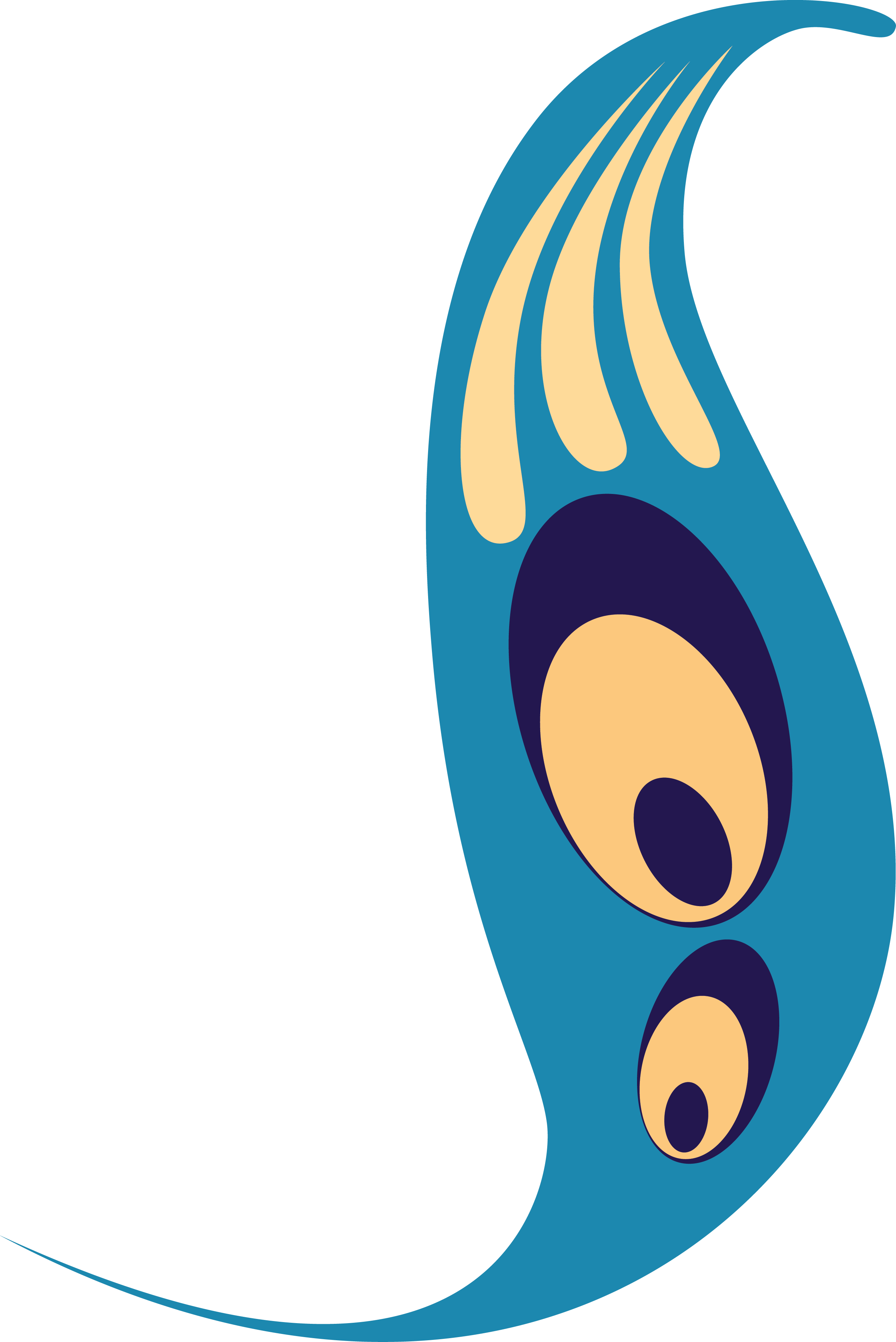 Png Coloured - Peafowl (2564x3839)