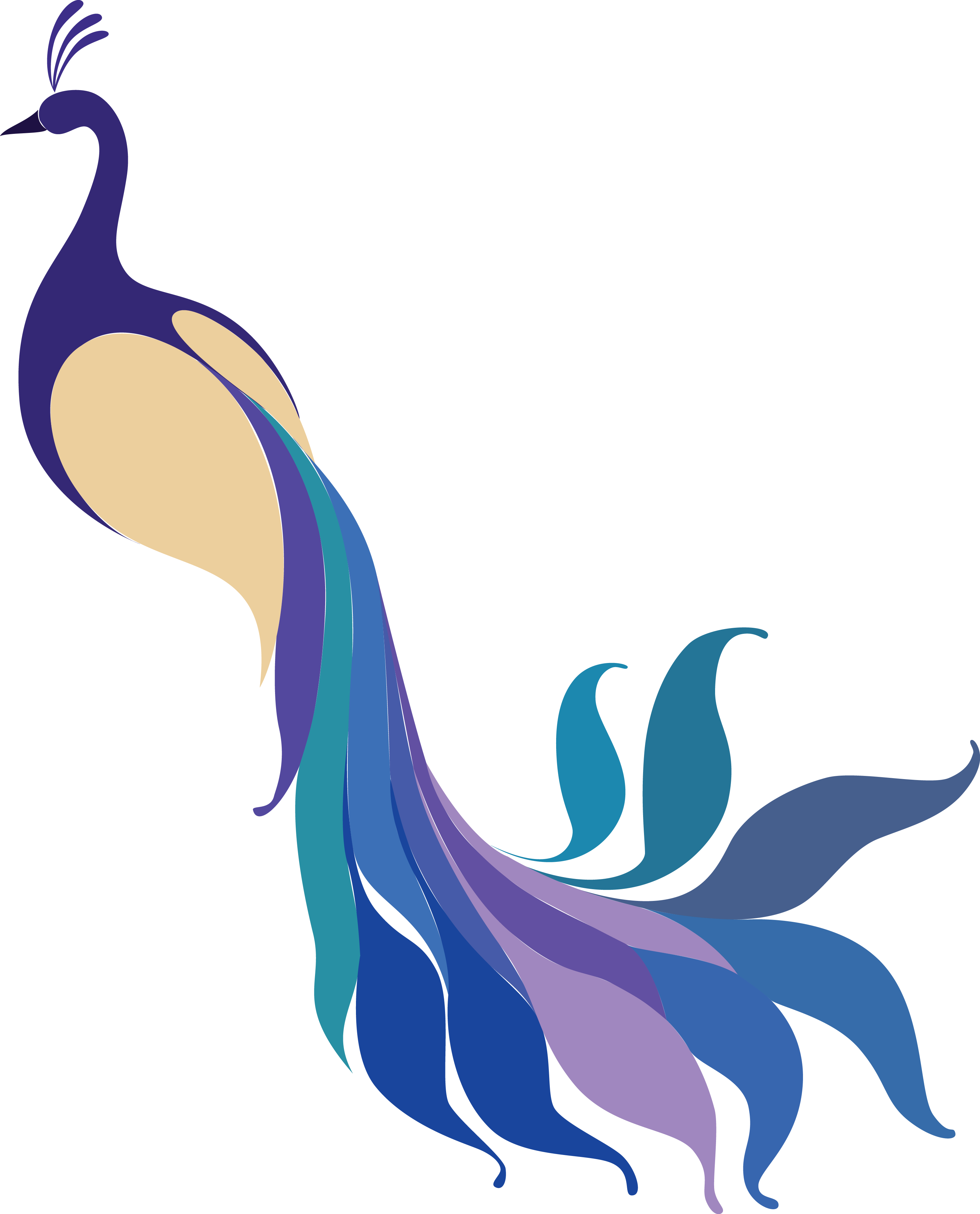 Png Coloured - Png Coloured (3089x3827)
