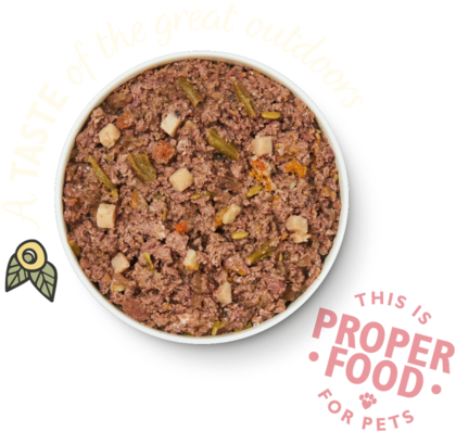 Lilys Kitchen Dog Food Wild Campfire Stew Food - Food (480x480)