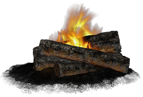 Fire Campfire - Firewood (500x338)