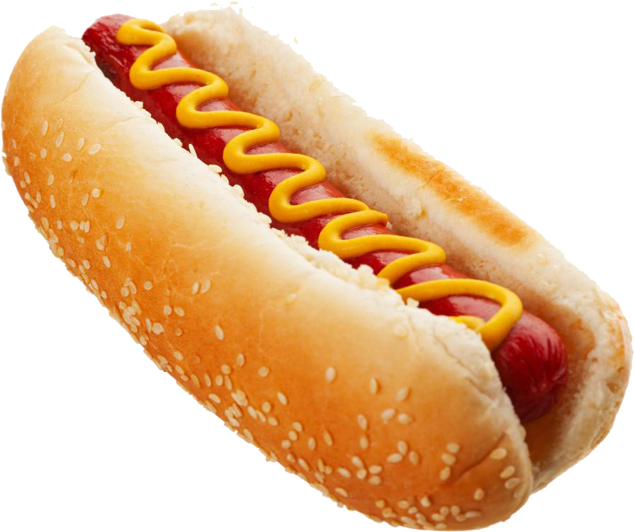 Campfire Clipart - Food That Starts With H (1000x867)