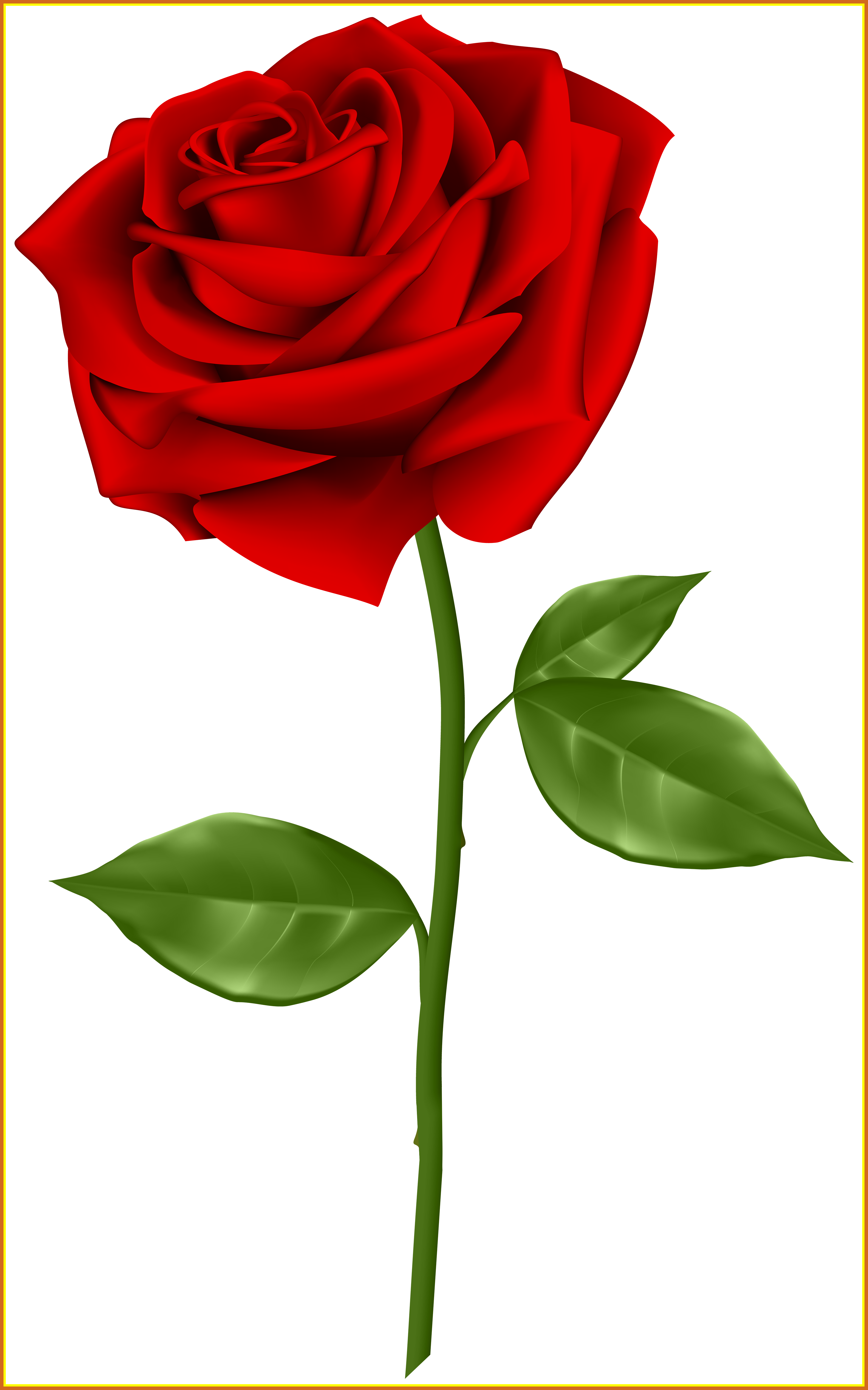 Best Red Rose Transparent Png Clip Art Gallery Yopriceville - Rose Png (3779x6050)