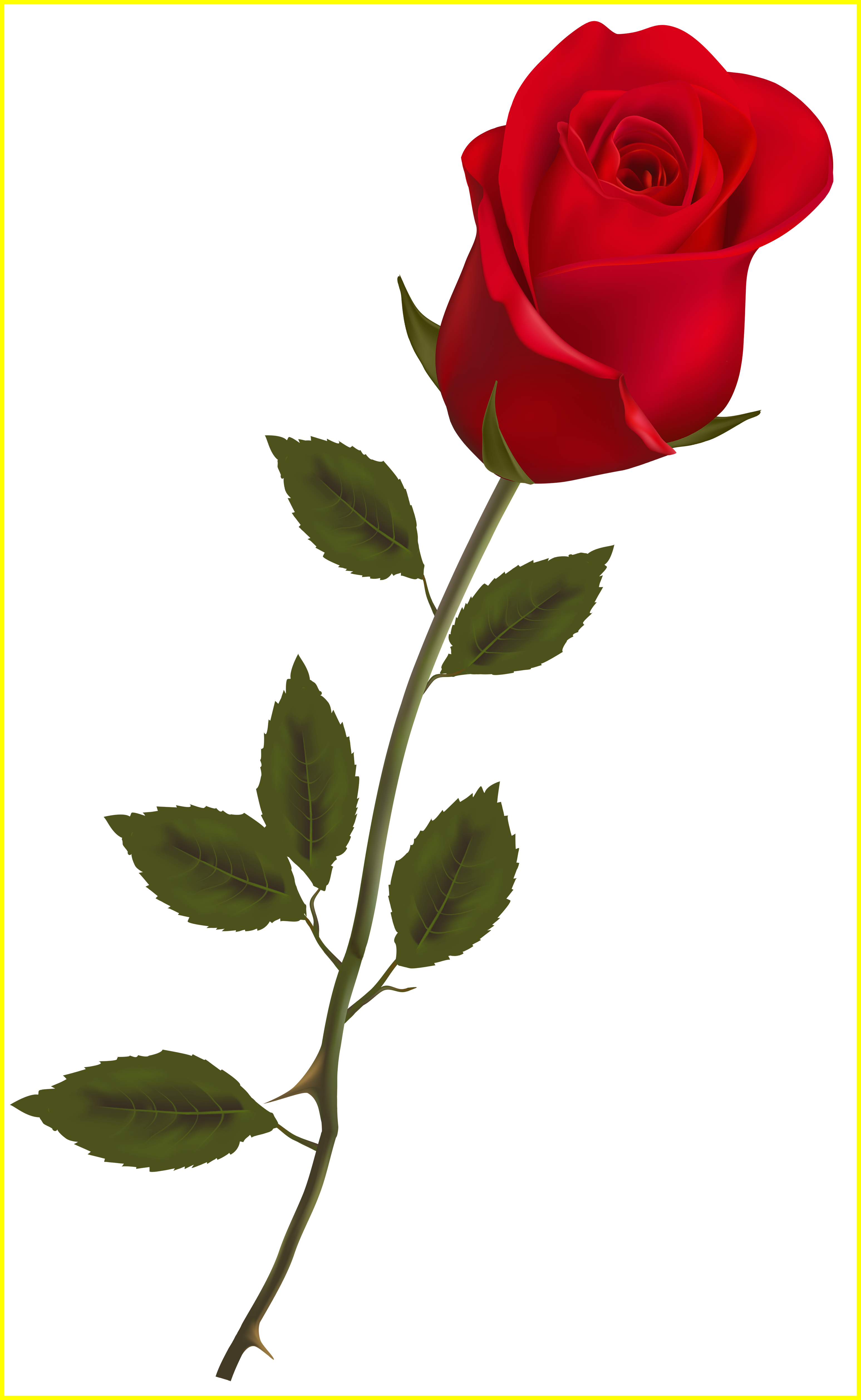 Fascinating Red Rose Png Clipart Ruze For Falling Petals - Rose Png (3094x5030)
