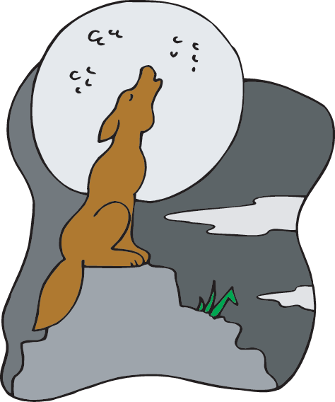 Coyote Quiz - Cartoon (474x568)