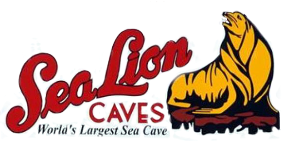 “sea Lion Caves Is A Privately Owned Wildlife Preserve - Sea Lion Caves (700x340)