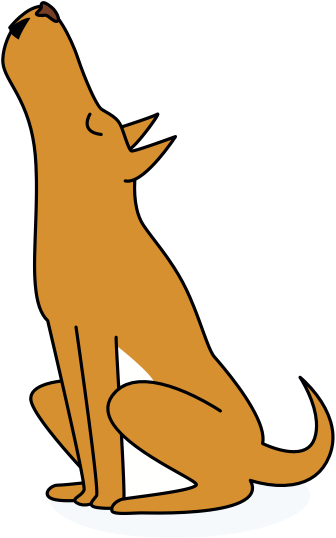 Web Design With Focus On Data - Yellow (336x538)