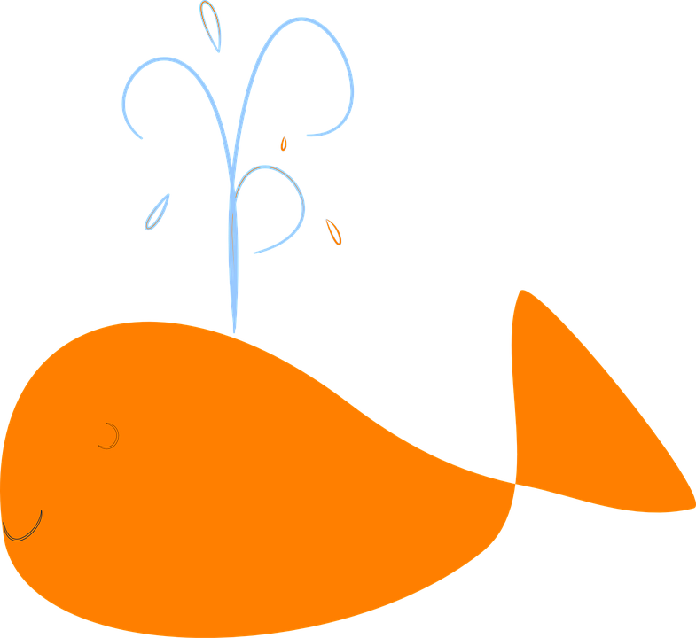 Collection Of Orange Splat Cliparts - Clip Art (785x720)