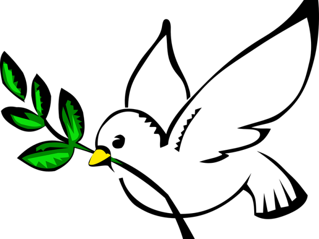 Dove Clipart Freedom - Dibujos De Palomas Blancas (640x480)