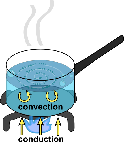 Instead Convection Allows The Water To Move Around - Instead Convection Allows The Water To Move Around (430x493)