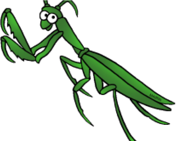 Mantis Clipart Boxing - Clip Art (640x480)