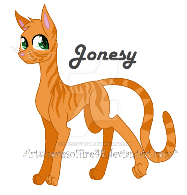 Jonsey The Space Kitty - Skinny Jeans (600x627)