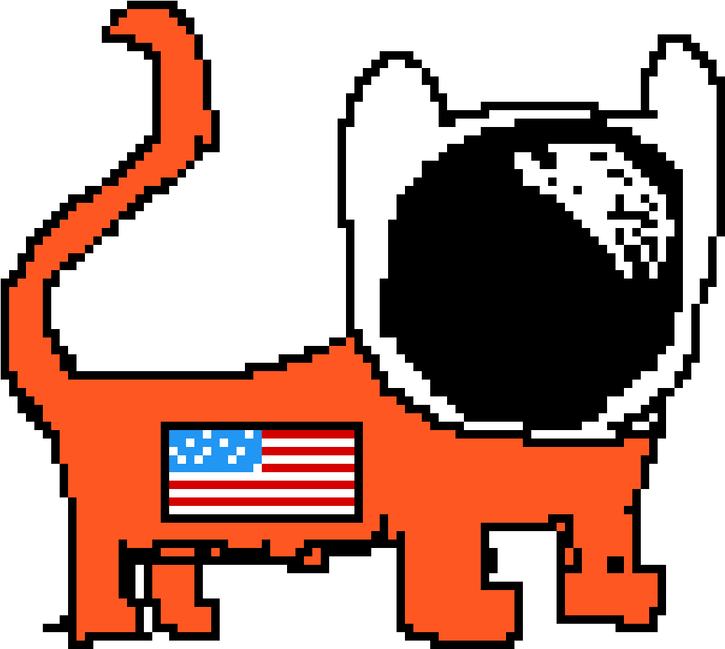 Space Cat - New England Staaten (1200x1200)