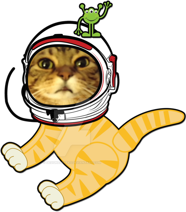 Poe Cat Astronaut Space Man By Designedbytag - Poe Cat Astronaut Space Man By Designedbytag (816x979)