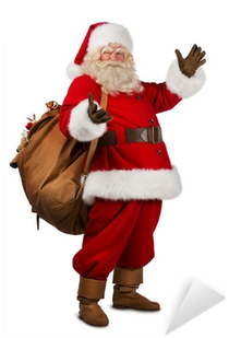 Cushion Co - Santa Pillow 16" X 12" (400x400)