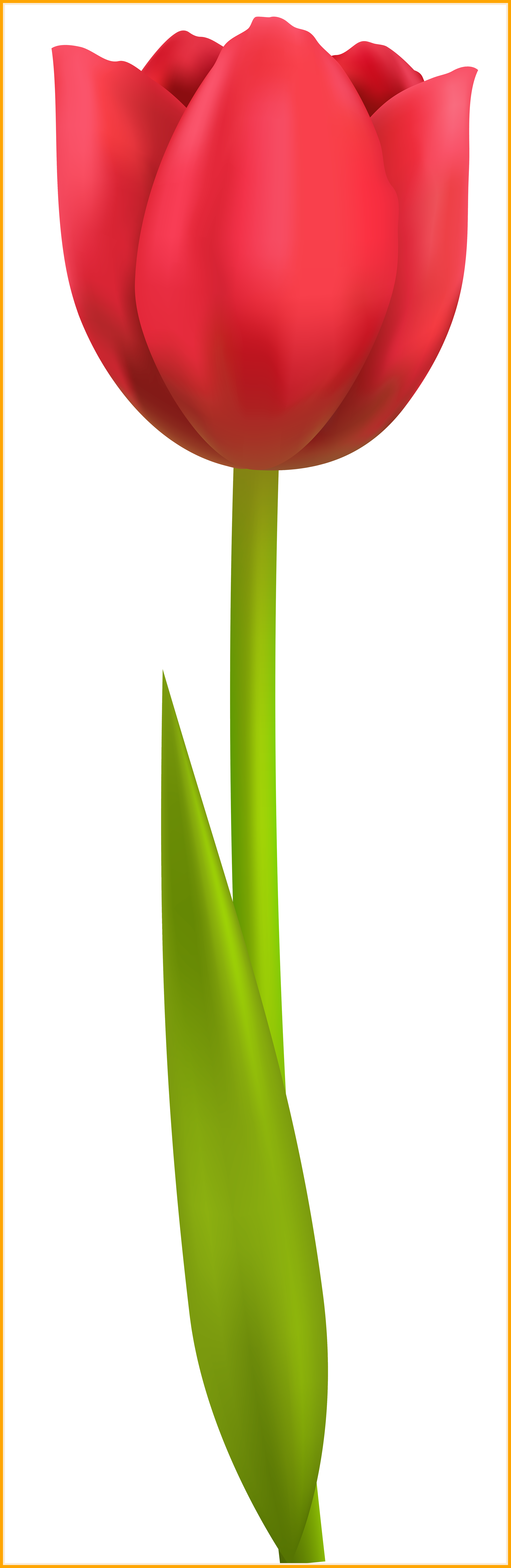 Marvelous Tulip Png Transparent Clip Art Image Tree - Clip Art (2626x8050)