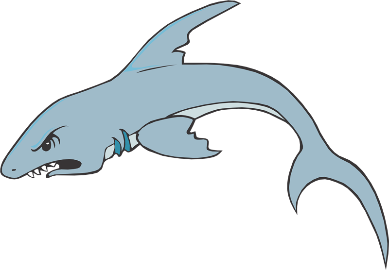 Requiem Sharks Fish Clip Art - Hiu Cartoon (800x556)