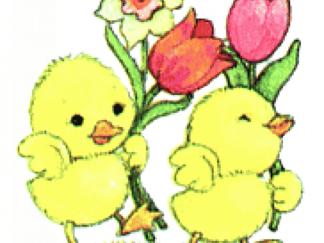 Baby Chicks Clipart - Baby Chick Clip Art (640x480)