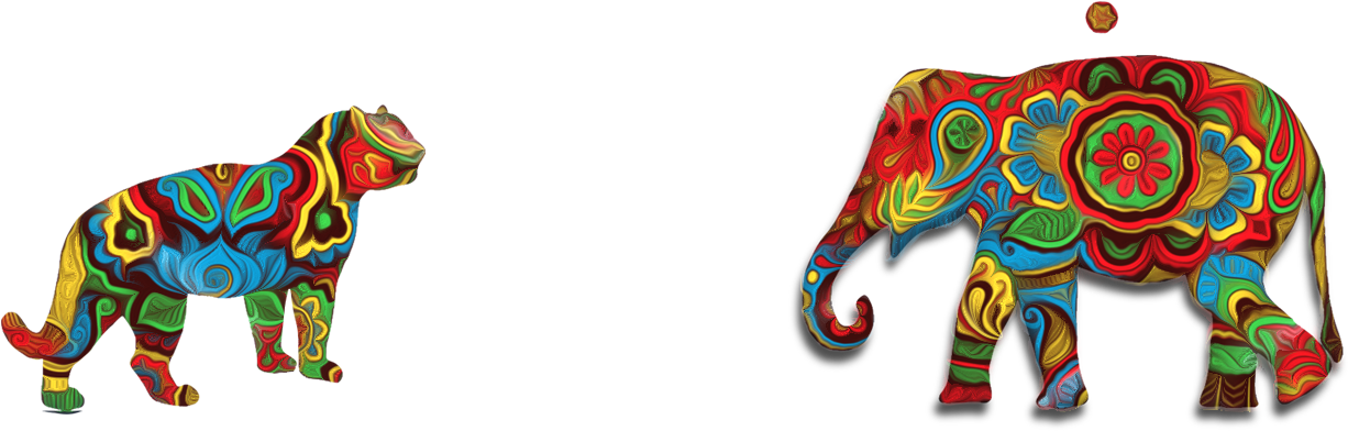 Cultures Of India - Indian Elephant (1920x1079)